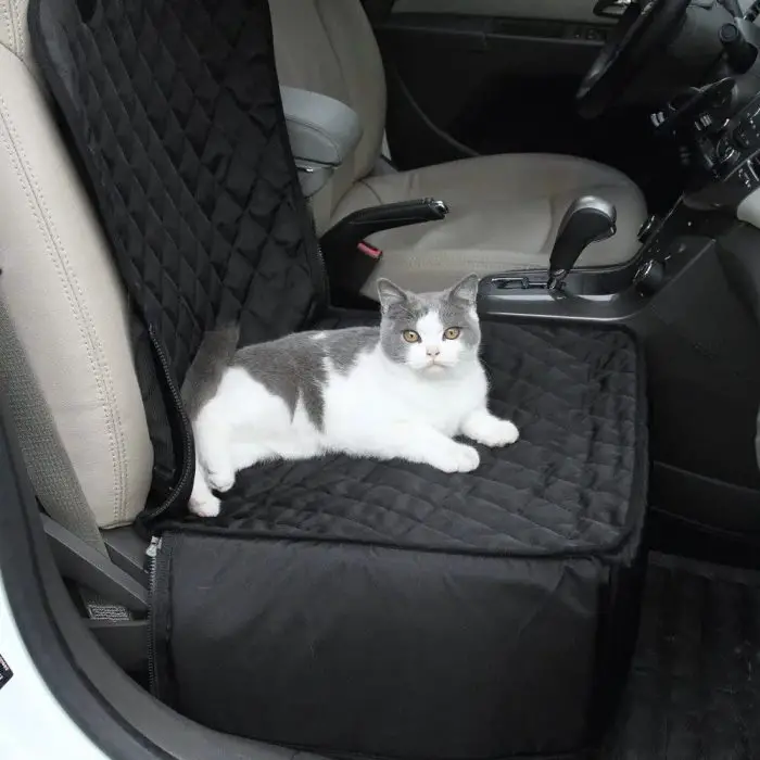 A gray and white cat is lying on a 11102-32e63b.jpg in the passenger seat of a car.