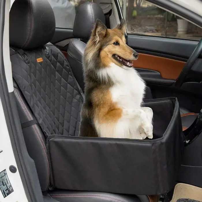 A dog sits comfortably in a 11102-6d46bb.jpg on the passenger seat of a vehicle.