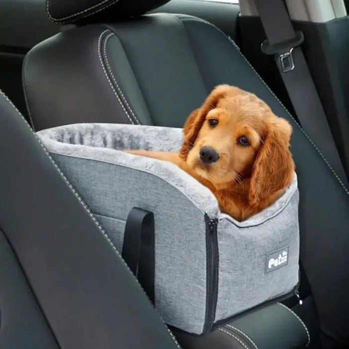 A small dog sits comfortably in a 11110-bb85a1.jpg in a car.