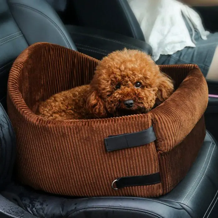 A curly-haired brown dog rests comfortably in a 11114-e513aa.jpg made of brown corduroy, nestled perfectly on the vehicle's seat.