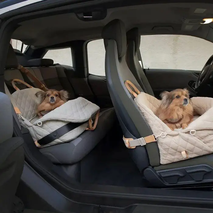 Two small dogs sit comfortably in 11126-17d712.jpg, which are securely placed on the front passenger seat and left rear seat of the vehicle, akin to cozy dog carriers.