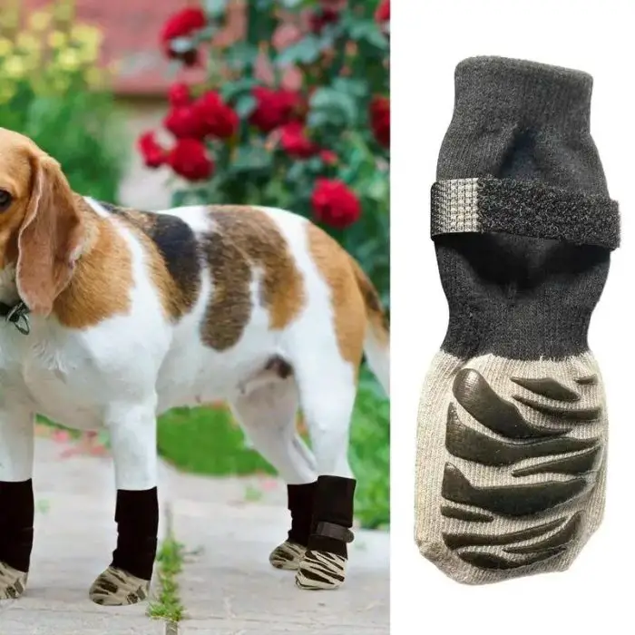 A beagle wearing four small protective dog booties is shown next to a close-up image of one of the boots. The 11539-2fcbe7.jpg are gray with black and tan accents and have a Velcro strap.