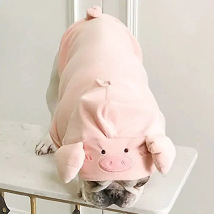 A dog dressed in the 11722-6db1a4.jpg pink pig hoodie with ears and a snout rests its head on a white surface.