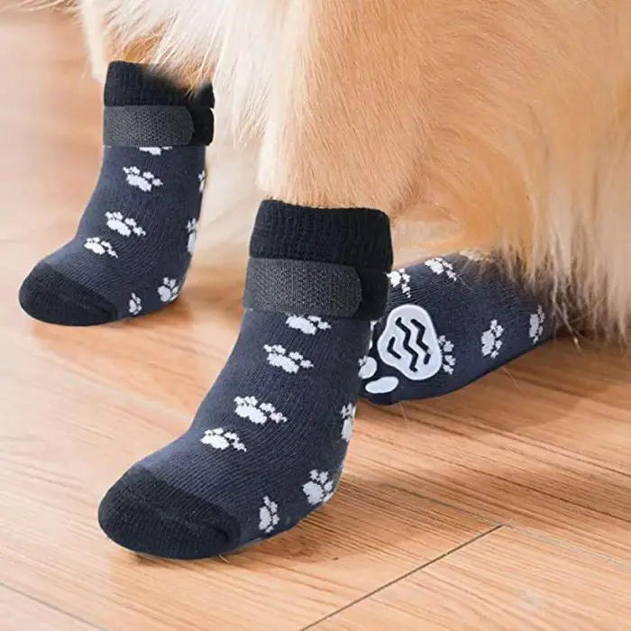 Pet dog wearing black socks with white paw print designs (product code: 11723-c2334d.jpg) on a wooden floor.