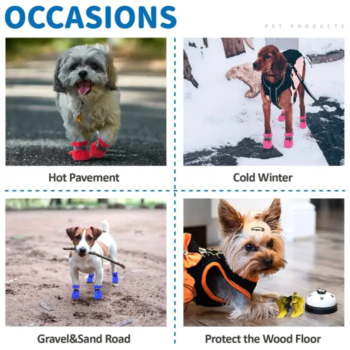 A collage featuring four dogs each wearing dog boots: one on hot pavement, one in snow, one on gravel and sand, and one inside on a wood floor. Text headings read: "Hot Pavement," "Cold Winter," "Gravel & Sand Road," and "Protect the Wood Floor." Product Name: 11724-c81092.jpg