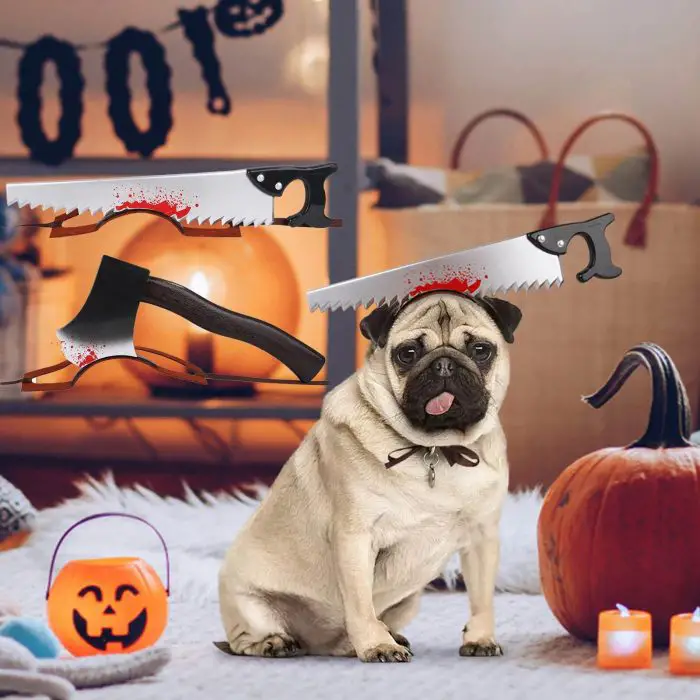 A pug is dressed in a Halloween costume with a fake saw through its head, sitting in a room decorated for Halloween with a jack-o-lantern, lights, and an axe on the floor, shown in image 12314-96725b.jpg.