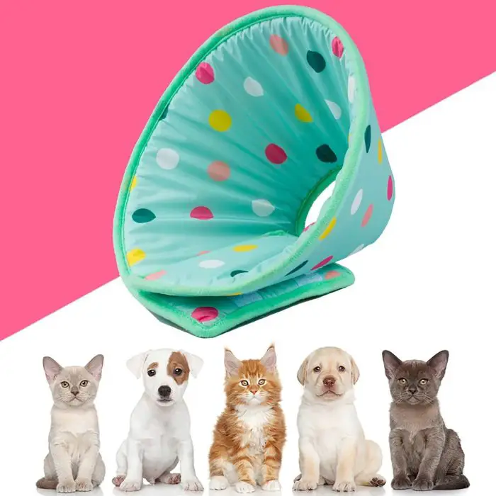 Five small pets, including two cats, a Jack Russell puppy, a golden retriever puppy, and a Russian Blue cat, are sitting under the 12315-71f725.jpg pet collar cone against a pink and white background.