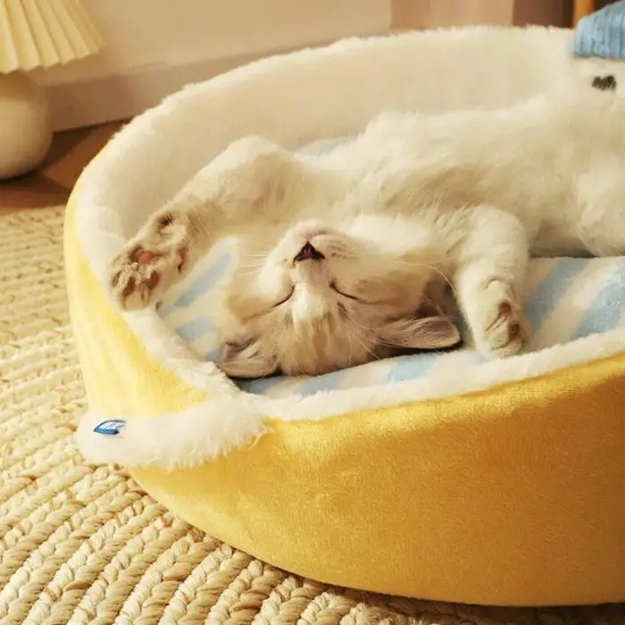 A kitten lies on its back, sleeping peacefully in what appears to be the 12439-9e27e9.jpg cat bed, featuring a round yellow and white design with a cozy blue and white blanket inside.