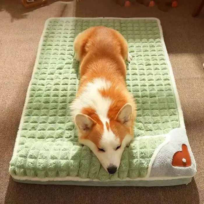 A corgi is lying on the 12444-7defe0.jpg green textured pet bed with its front legs stretched out and head resting on the bed, showcasing a small heart design in one corner.