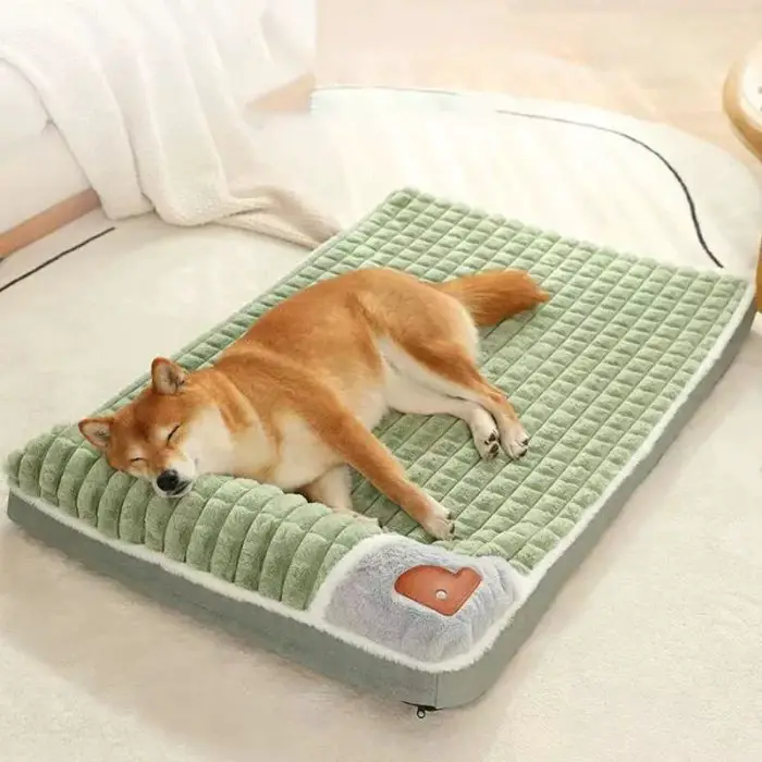 A dog sleeps peacefully on the 12444-b1a863.jpg green and gray rectangular pet bed placed on a light-colored carpet, providing a cozy spot for rest and relaxation.