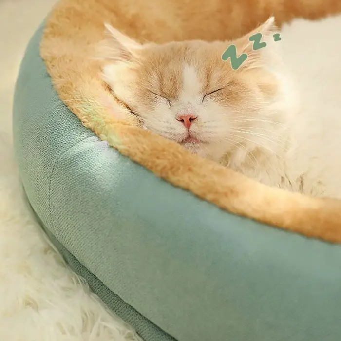 A cat with closed eyes sleeps in a blue and beige cozy pet bed (Product Name: 12447-1f0c9e.jpg) with a "Zzz" symbol above its head, indicating it's asleep.