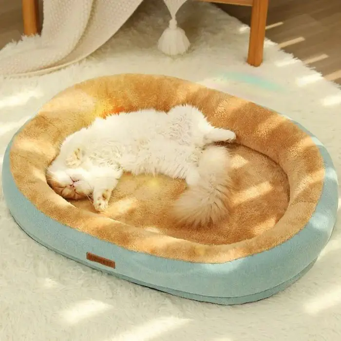 A fluffy white cat is sleeping on its back in an 12447-bd44ba.jpg, featuring a cushioned pet bed with a beige interior and light blue exterior, all nestled on a soft, textured white rug.