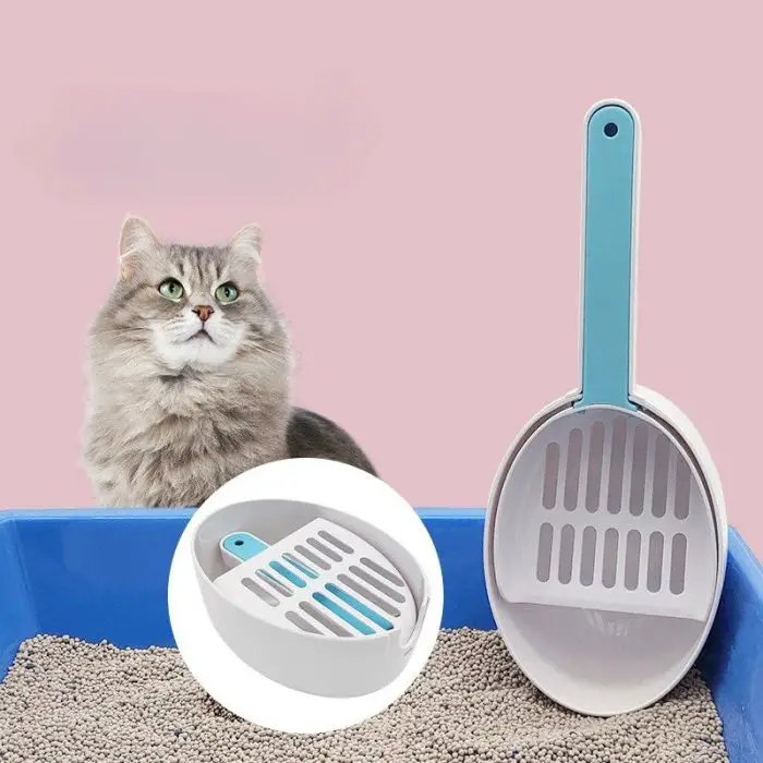 A fluffy gray cat sits next to a blue litter box filled with litter. The product 12585-950357.jpg, an efficient turquoise and white litter scoop, is showcased with a close-up inset highlighting its slotted design.