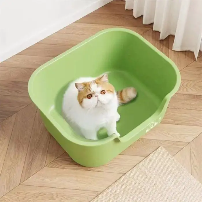 A cat with orange and white fur sits in a green plastic tub on a wooden floor, looking up, as seen in product image 12587-ea6f20.jpg. A beige rug and white curtains are visible in the background, creating a cozy scene reminiscent of a cat litter box setup.