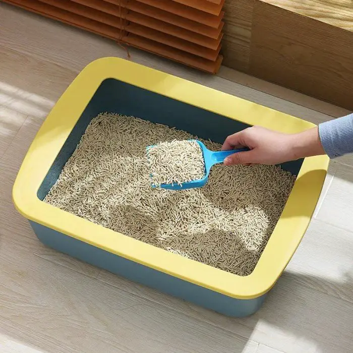 Using the 12589-58e9b2.jpg blue scoop, a hand cleans the cat litter box filled with cat litter pellets.