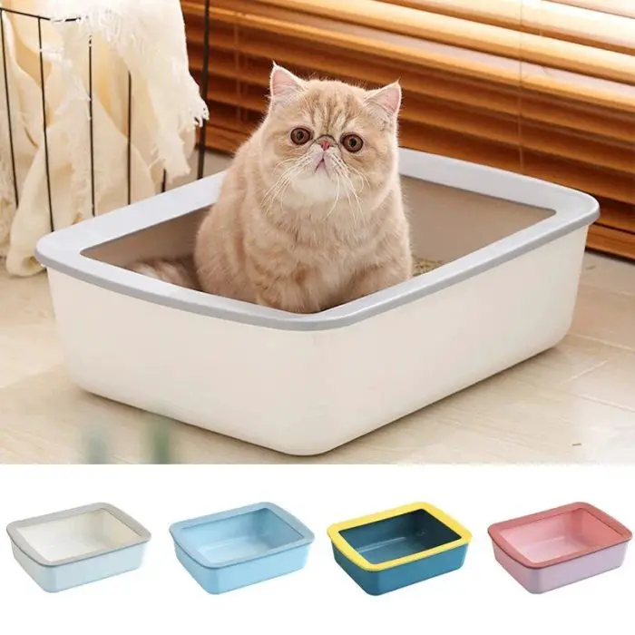 A cat sits in a 12589-a50617.jpg, with four other differently colored litter boxes displayed below.