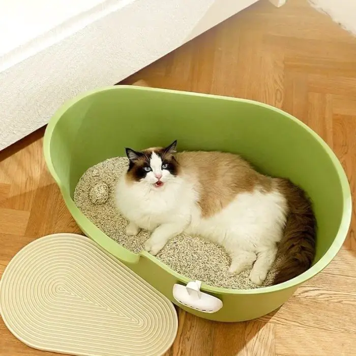 A fluffy cat lies comfortably in the 12593-5eaa6c.jpg green cat litter box placed on a wooden floor, with a beige mat beside it.