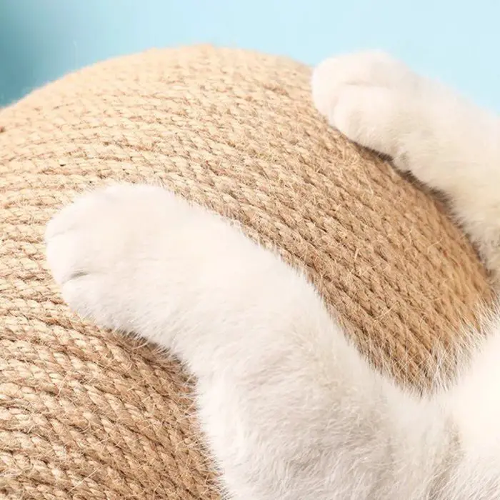 A close-up image of a cat's front paws gripping a woven sisal scratch post with a light blue background features the product 12730-763341.jpg nearby.