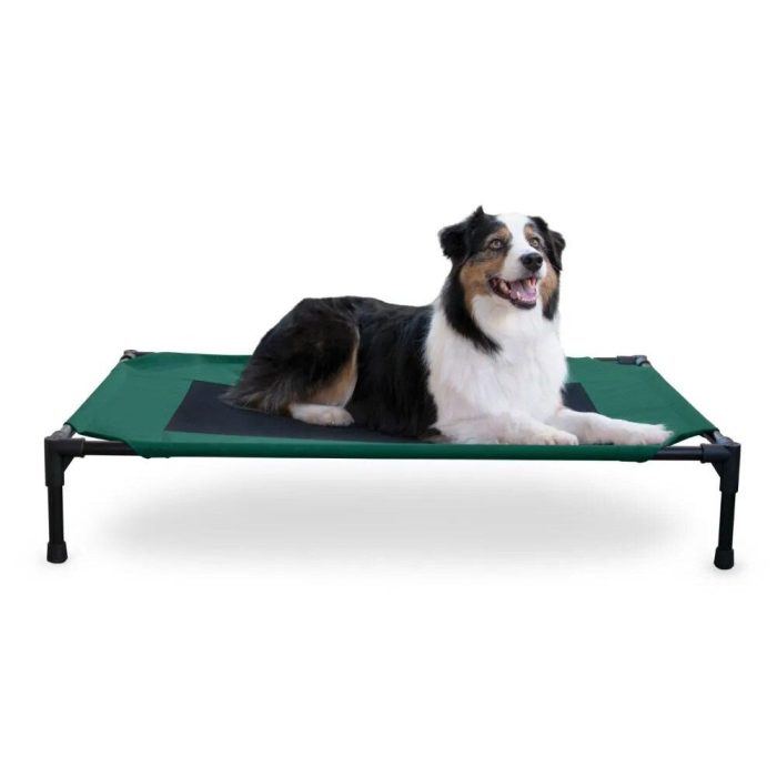 A black, white, and brown dog lies comfortably on the green elevated dog bed with a black mesh center shown in product 12745-3ffd3e.jpg.