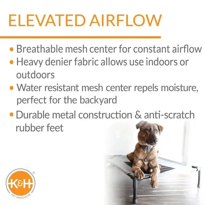 A brown dog relaxes on an elevated 12745-5ec926.jpg dog bed. The image text highlights the bed's features: breathable mesh center, heavy denier fabric, water-resistant mesh, and durable metal construction with anti-scratch feet.