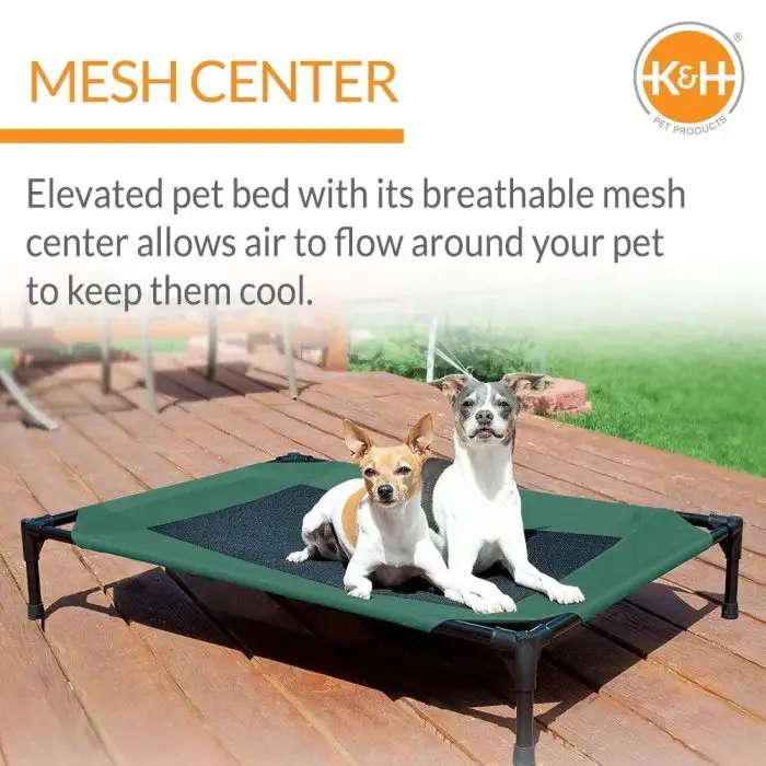 Two small dogs sit on the K&H Pet Products 12745-892c73 elevated dog bed, featuring a green frame with a black mesh center, placed on a wooden deck. Text highlights the bed's breathable design aimed at keeping pets cool, showcased as a notable feature by K&H Pet Products.