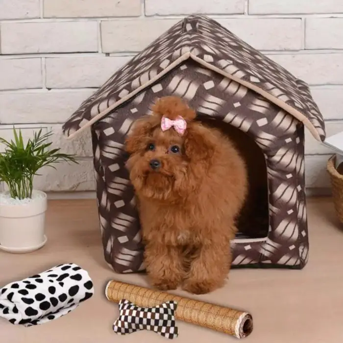 A small, patterned dog house features a cute brown poodle wearing a pink hair bow. In front of the dog house are a foldable dog toy, a black and white cloth, and a rolled-up item. A potted plant is situated on the left side.