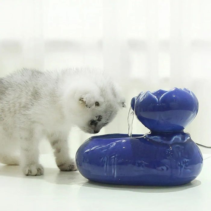 A small, fluffy kitten curiously looks at the water flowing from the 12814-cb5a26.jpg blue ceramic cat water fountain on a white surface.