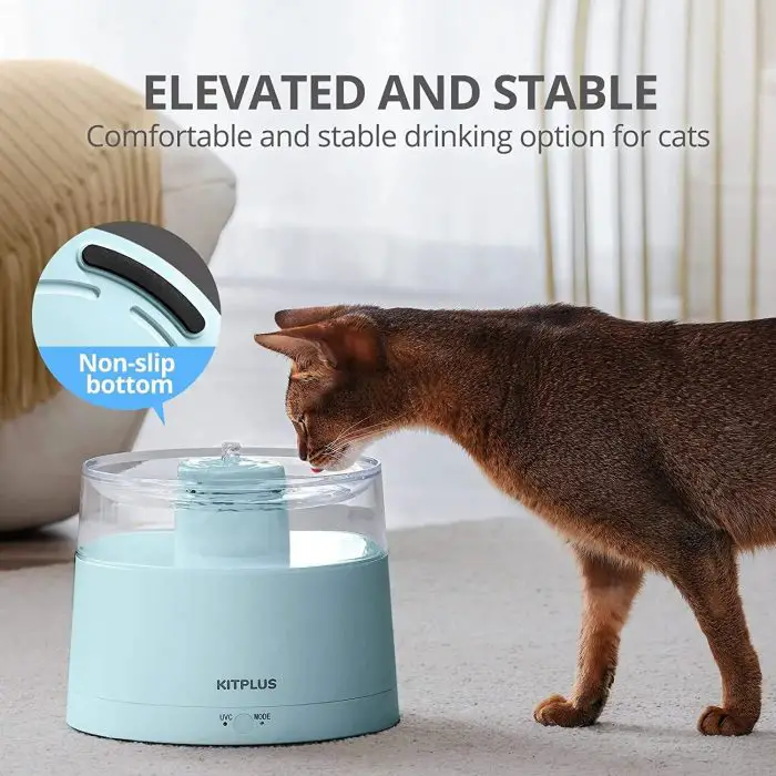 A cat is drinking from an elevated KITPLUS blue Cat Water Fountain, which is described as elevated and stable with a non-slip bottom. The brand name "KITPLUS" is clearly visible in the image file named "12818-c3c7aa.jpg.