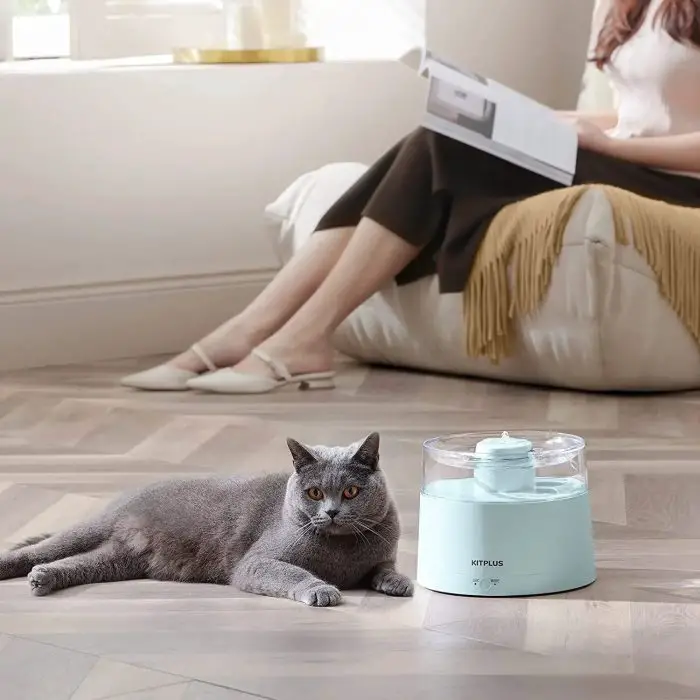 A gray cat lies on the floor near a blue cat water fountain from the product 12818-fa0b7c.jpg. In the background, a person is sitting on a chair reading a magazine.