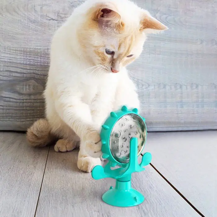 A white cat with light orange markings taps the 12819-350ad9.jpg, a teal cat turntable toy with a suction cup base, on a wooden floor.