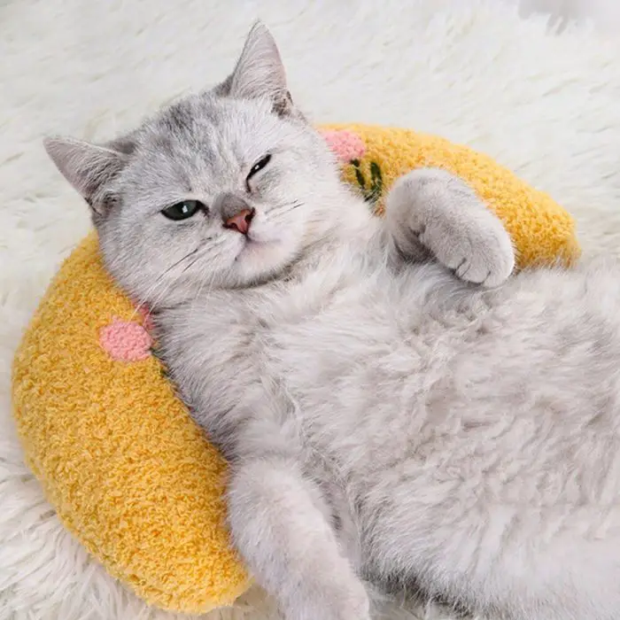 A grey cat is lying on its back on a fluffy white surface, resting its head on a comfy pillow. The cat appears relaxed and has one eye slightly open. This scene, ideal for 9508-3b072d.jpg, exudes tranquility and comfort.