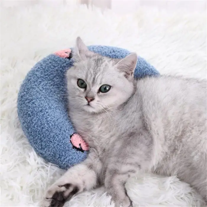 A gray cat with green eyes lies on a white fluffy surface, resting its head on a 9508-cdcca7.jpg.