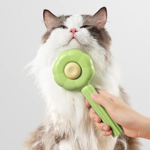 A person is holding a green flower-shaped 9548-c34029.jpg against the chin of a long-haired cat. The cat appears relaxed with its eyes partially closed, enjoying the gentle touch.