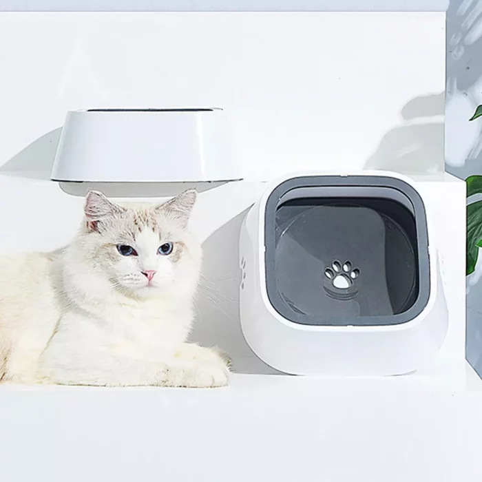 A white and gray cat lies beside a 9558-28ad80.webp. Another pet water bowl is mounted on the wall behind the cat.