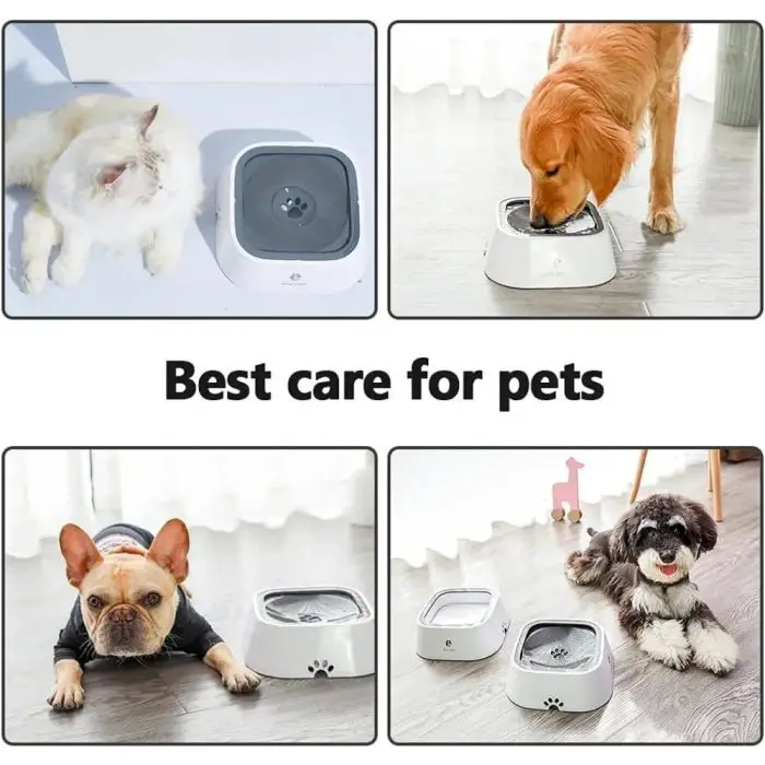 Four images show different pets interacting with 9558-854c9e.jpg. A cat and dog drink, a French bulldog lies beside one, and a fluffy dog sits near two dispensers. Text: "Best care for pets.