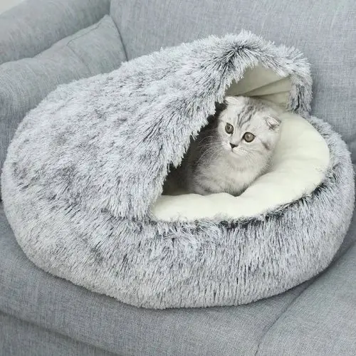 A gray cat sits cozily inside a 9653-6136c8.jpg placed on a light gray couch.