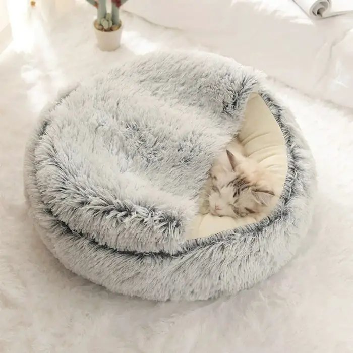 A cat sleeps inside a 9653-9ff21d.jpg on a white carpet.