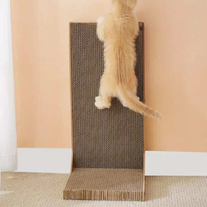 A ginger cat is climbing a tall, vertical 9760-d28e41.jpg leaning against a wall in a room with beige walls and carpeted floor.