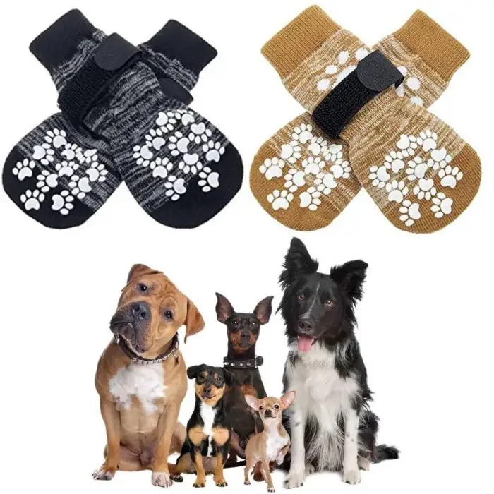 Two pairs of 9767-2ff24d.jpg with paw print designs at the top; one pair is black and white, the other brown and white. Below, five dogs of different breeds posing for the photo.