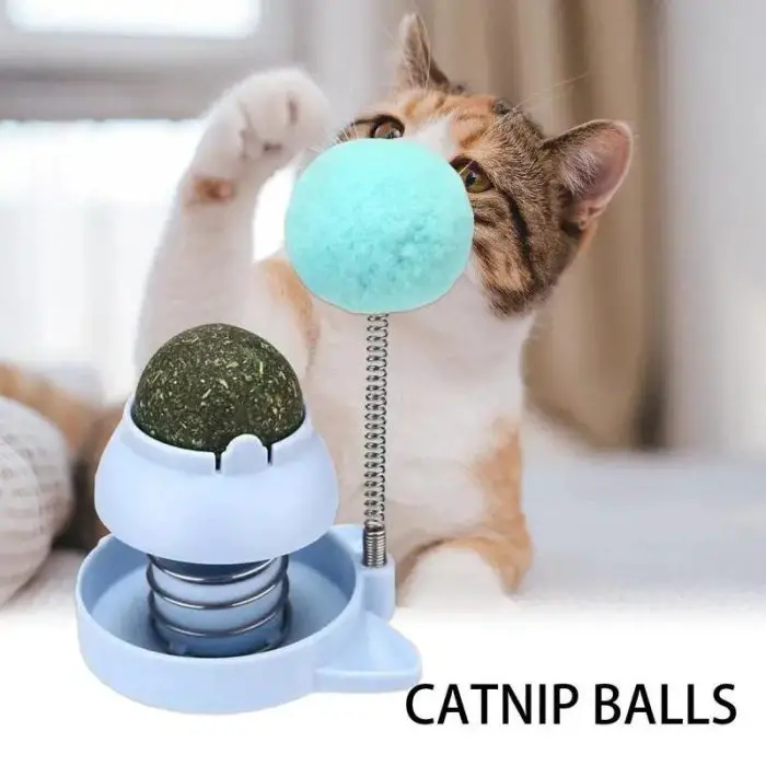 A cat plays with a blue 9783-d29140.jpg mounted on a spring, while an adhesive 9783-d29140.jpg in green rests in a holder beside it. The text "9783-d29140.jpg" is displayed in the bottom right corner.