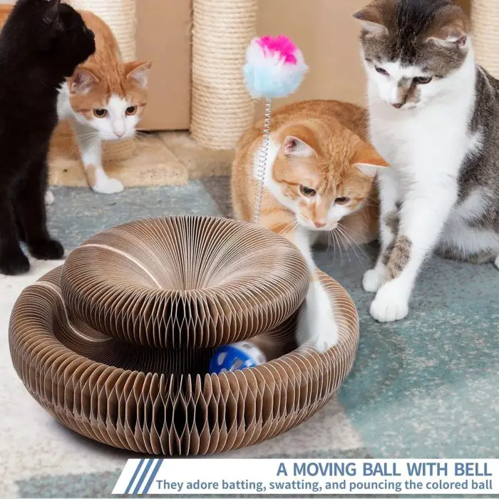 Three cats interact with a circular cat toy featuring a blue ball and a pink pom-pom. One cat swats at the ball while the other two observe from soft floor mats nearby. The mesmerizing action makes it seem like the 9796-7c1666.jpg, captivating their attention in an indoor play area.