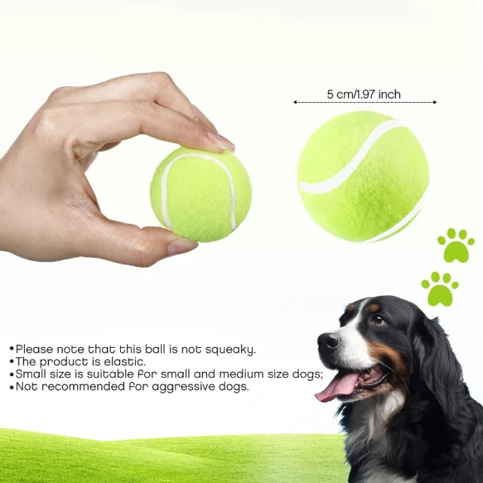 A person holding a small green fleece tennis ball. Another identical ball is shown next to it with a size label of 5 cm/1.97 inches. A black and white dog is looking at the ball intently. Text details product features, perfect for use with pet ball throwers (9820-2a5930.webp).