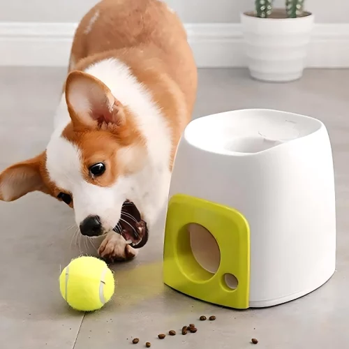 A corgi dog excitedly plays with a yellow tennis ball next to a white and green 9820-930884.webp on a gray floor. Some dog food pellets are scattered near the launcher.