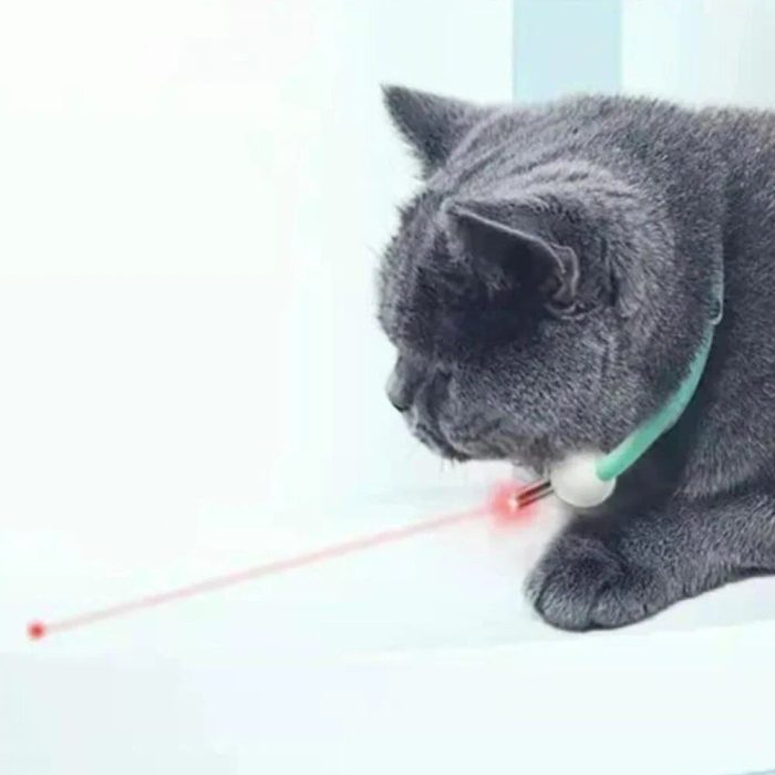 A gray cat with a green adjustable 9835-4fce1a.jpg is intently watching a red laser dot on a white surface.