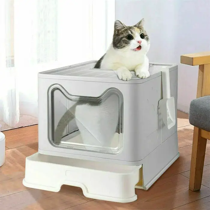 A cat with a white and grey coat sits on top of a 9845-8b9710.jpg with a scoop attached to the side, inside a well-lit room with a wooden floor and white curtains.