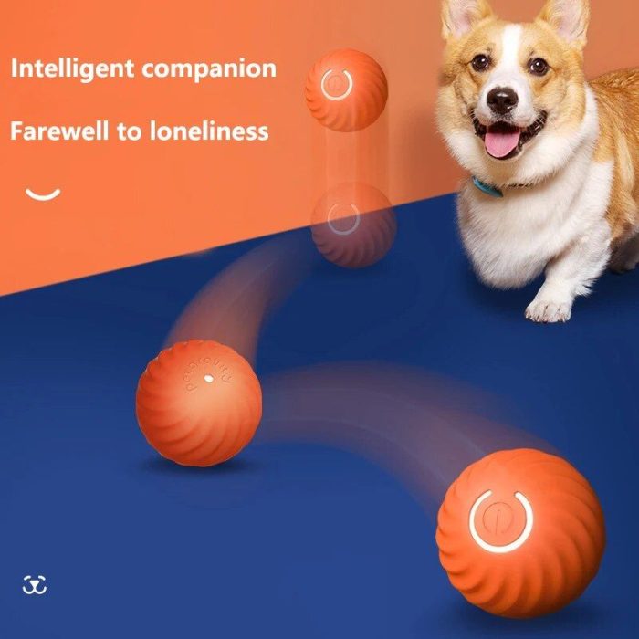 A corgi dog chases an orange 9854-217860.jpg on a blue and orange background. Text reads "Intelligent companion, Farewell to loneliness.