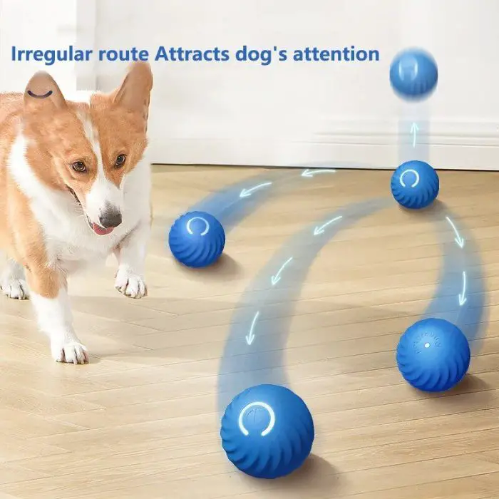 A small dog looks at an interactive blue ball moving in different directions on a wooden floor. Text above the image reads, "Irregular route attracts dog's attention.
Product Name: 9854-5574e5.jpg."