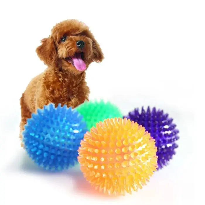 A brown dog with a curly coat sits behind four 9876-9be85d.jpg, perfect for interactive play. The balls are blue, green, purple, and orange.