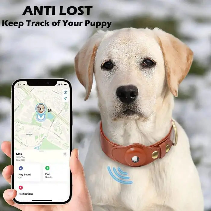 A Labrador puppy sporting an adjustable 9912-6fb05b.jpg with a reflective design is shown next to a smartphone displaying a map and tracking app interface with "ANTI LOST Keep Track of Your Puppy" text at the top, ensuring maximum pet safety.