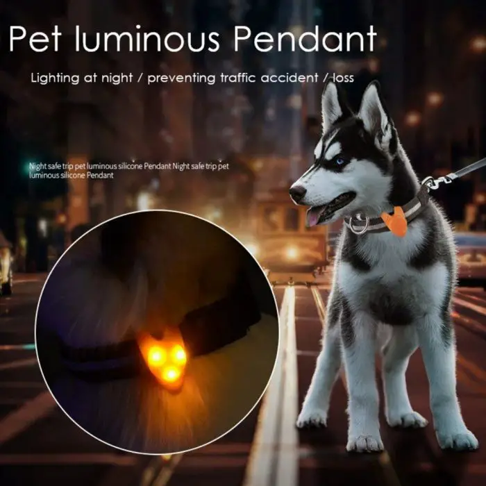 A dog wearing a glowing orange 9971-0083b2.jpg on its collar is depicted. The background shows a dimly lit urban street. The text highlights the 9971-0083b2.jpg's benefits for night safety and preventing accidents or pet loss.